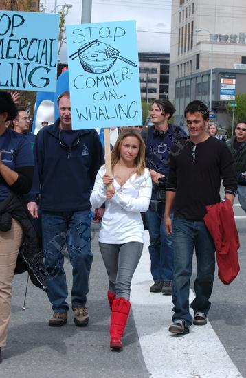 greenpeace_08.jpg