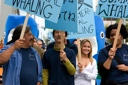 greenpeace_10.jpg