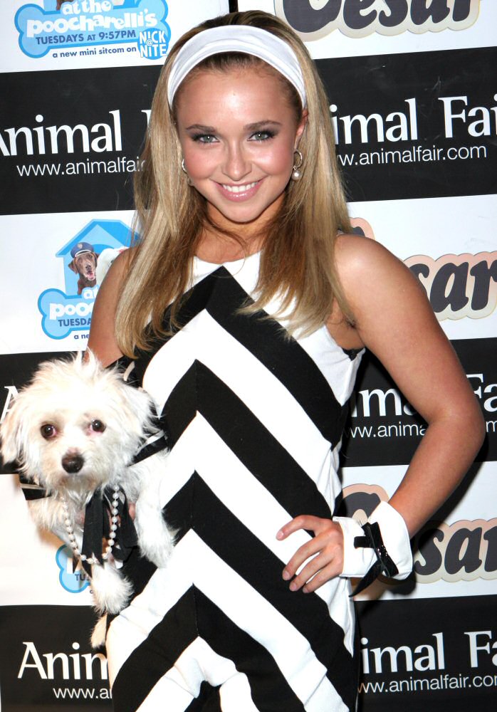 iHaydenPanettiere_Animal_Fair_Magazines_7th_Annual_02.jpg iHaydenPanettiere_Animal_Fair_Magazines_7th_Annual_02.jpg