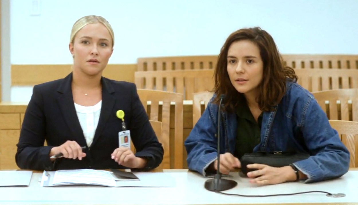 haydenpanettiere-custody1124.jpg