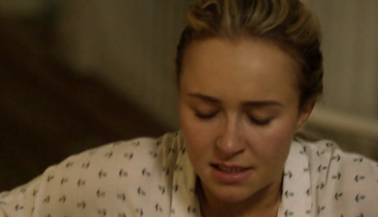 haydenpanettiere-custody4068.jpg