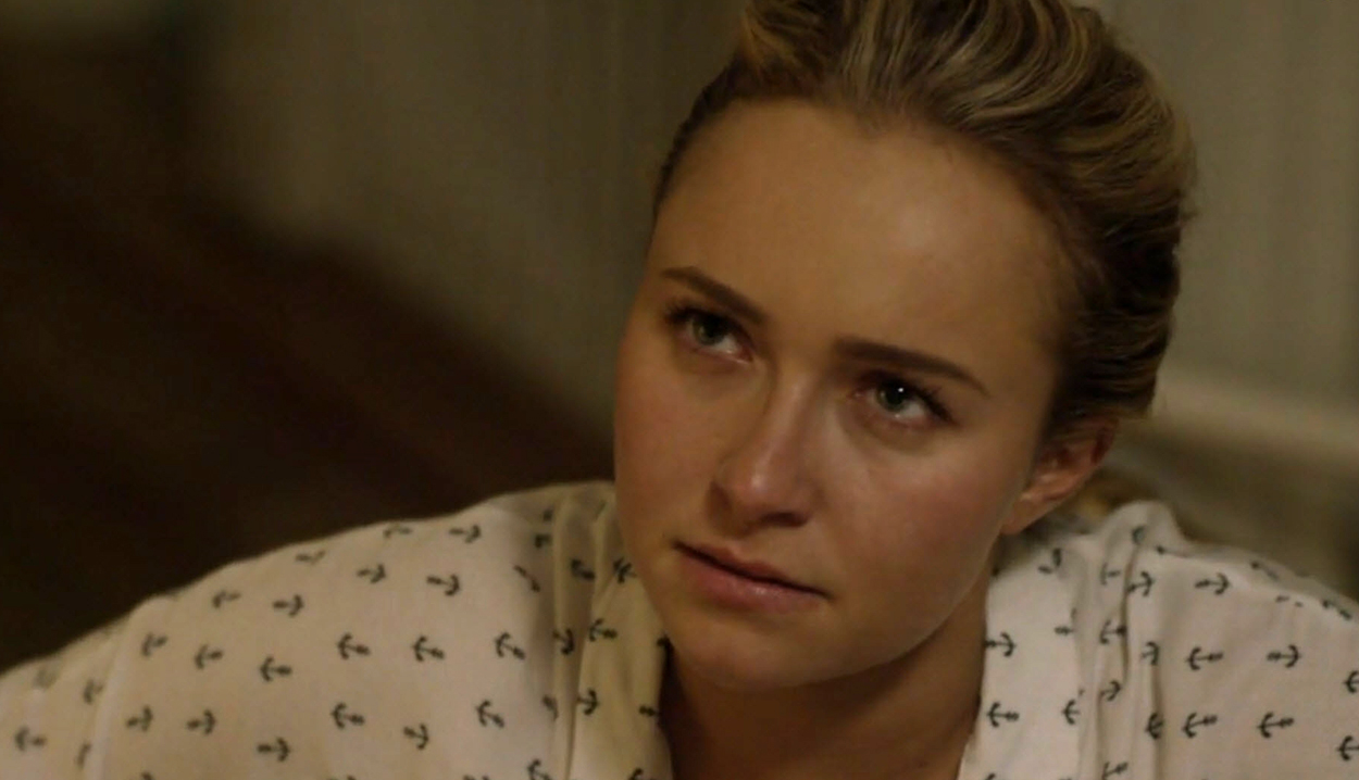 haydenpanettiere-custody4071.jpg