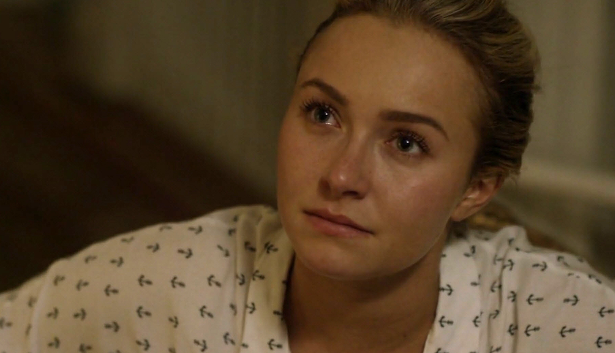haydenpanettiere-custody4080.jpg