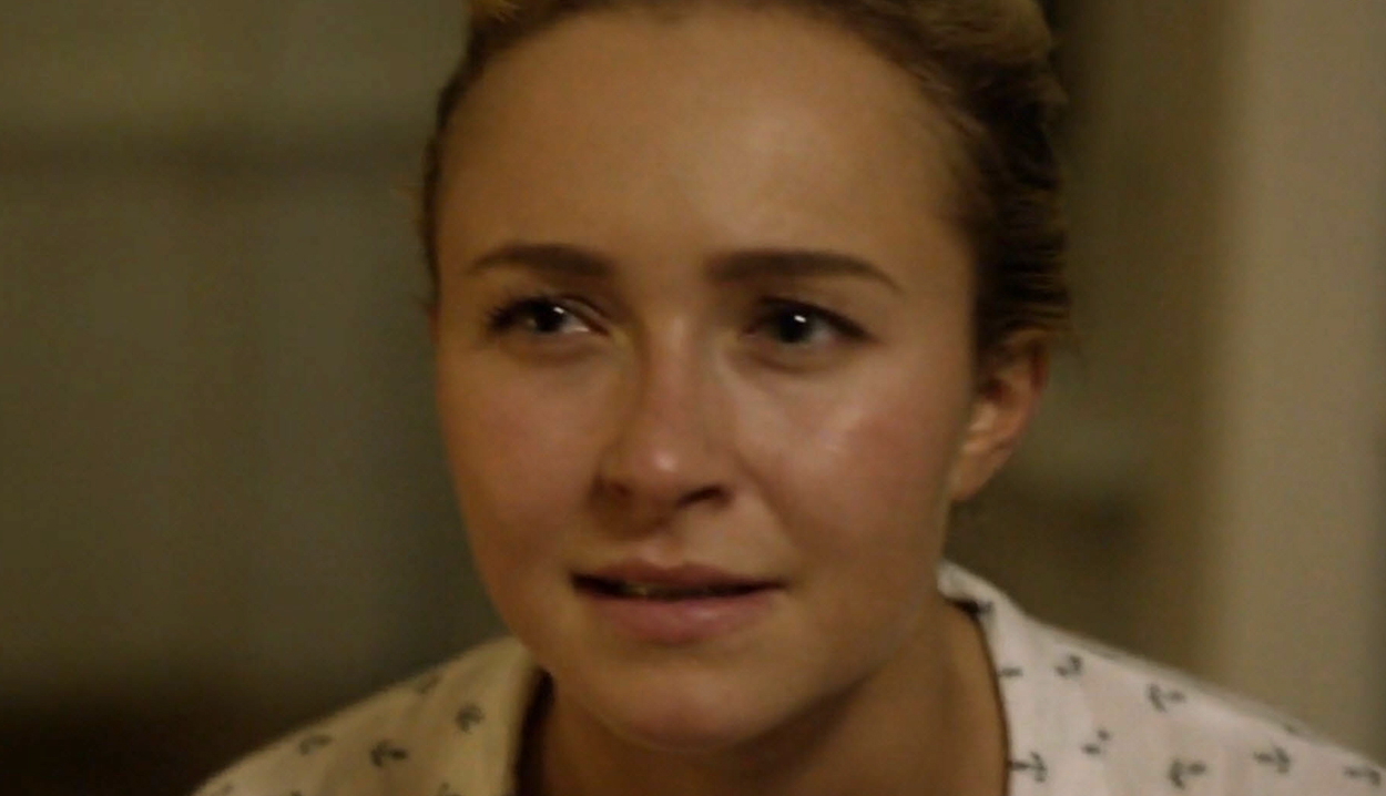 haydenpanettiere-custody4100.jpg