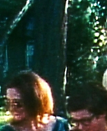 firefliesinthegarden-3168127.jpg