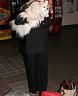 08.jpg