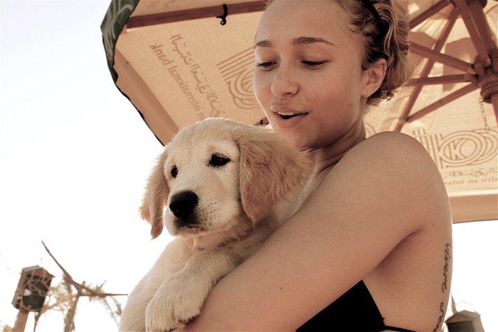 968full-hayden-panettiere_282729.jpg 968full-hayden-panettiere_282729.jpg