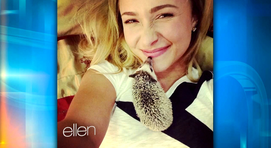 haydenpanettiere_ellen_nov2013_0209.jpg haydenpanettiere_ellen_nov2013_0209.jpg