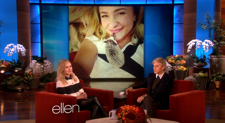 haydenpanettiere_ellen_nov2013_0233.jpg