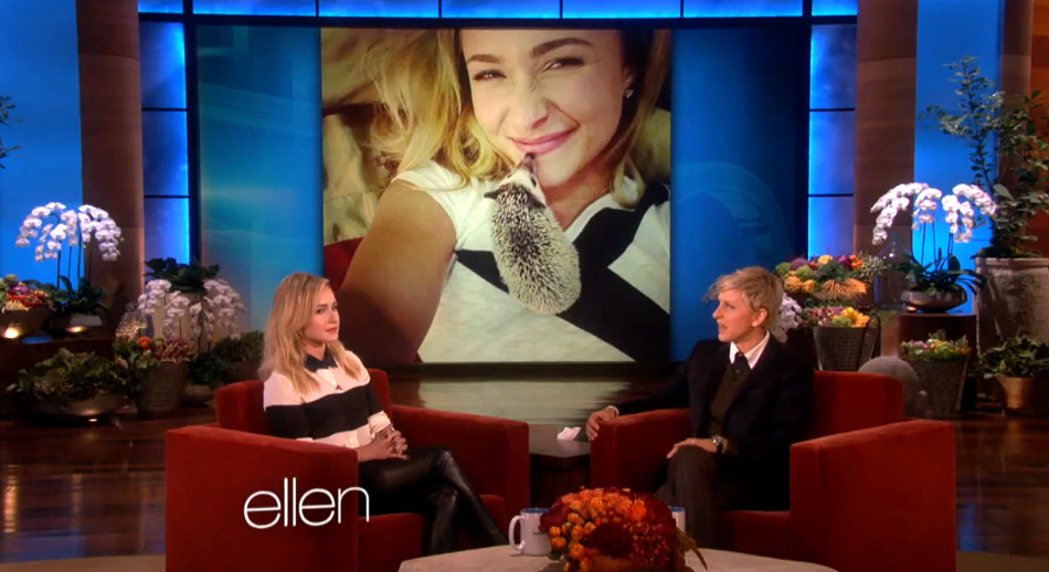 haydenpanettiere_ellen_nov2013_0239.jpg haydenpanettiere_ellen_nov2013_0239.jpg