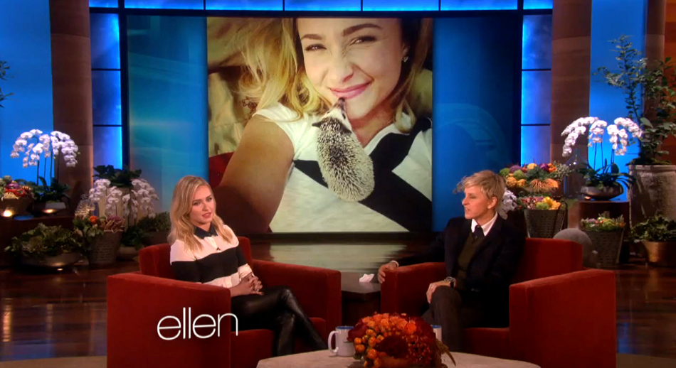 haydenpanettiere_ellen_nov2013_0243.jpg