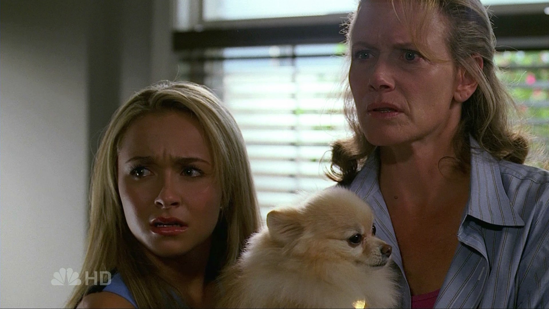 HaydenPanettiere_Heroes_S02E09_HDTV_041.jpg