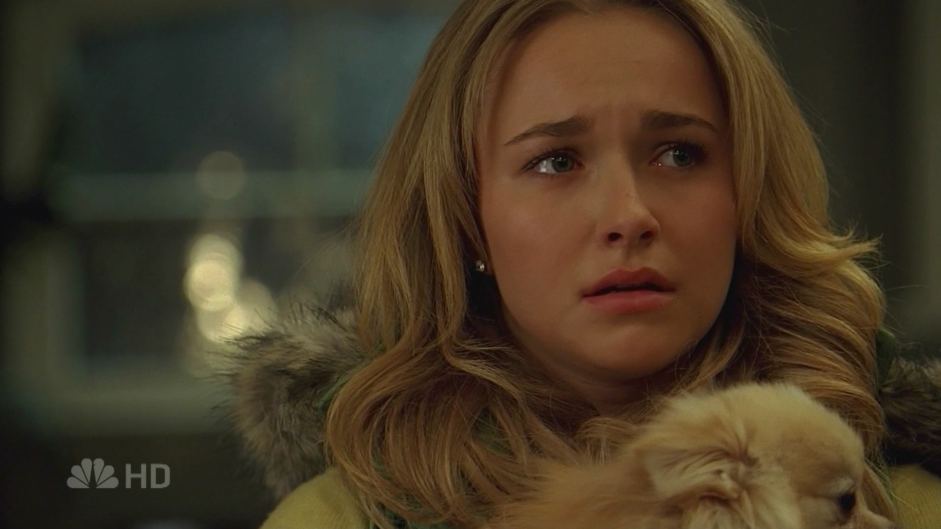 HaydenPanettiere_Heroes_S01E15_HDTV_038.jpg