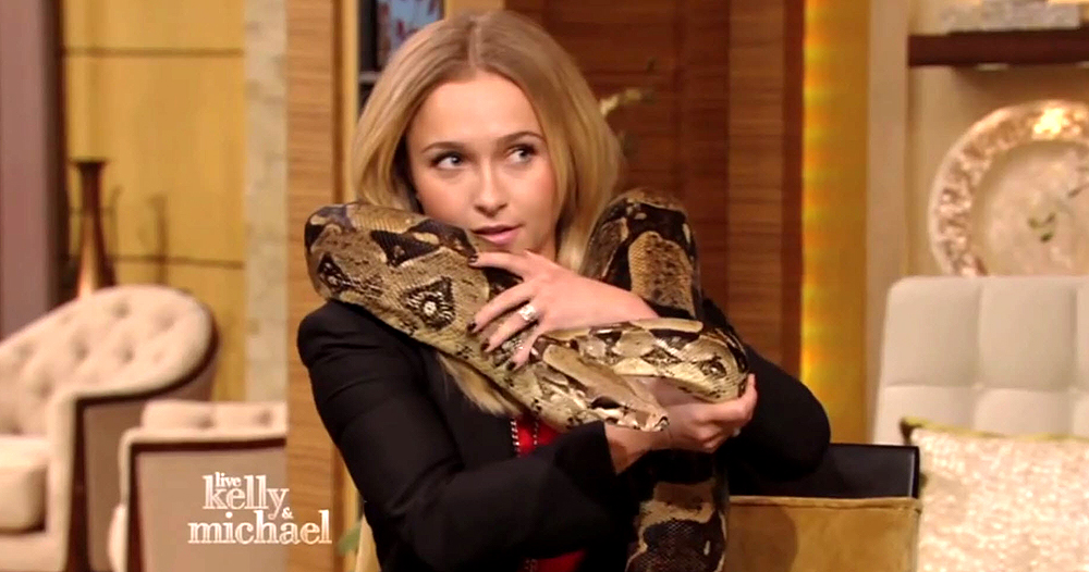 haydenpanettiere_snake_0092.jpg haydenpanettiere_snake_0092.jpg