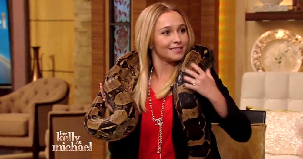 haydenpanettiere_snake_0143.jpg haydenpanettiere_snake_0143.jpg