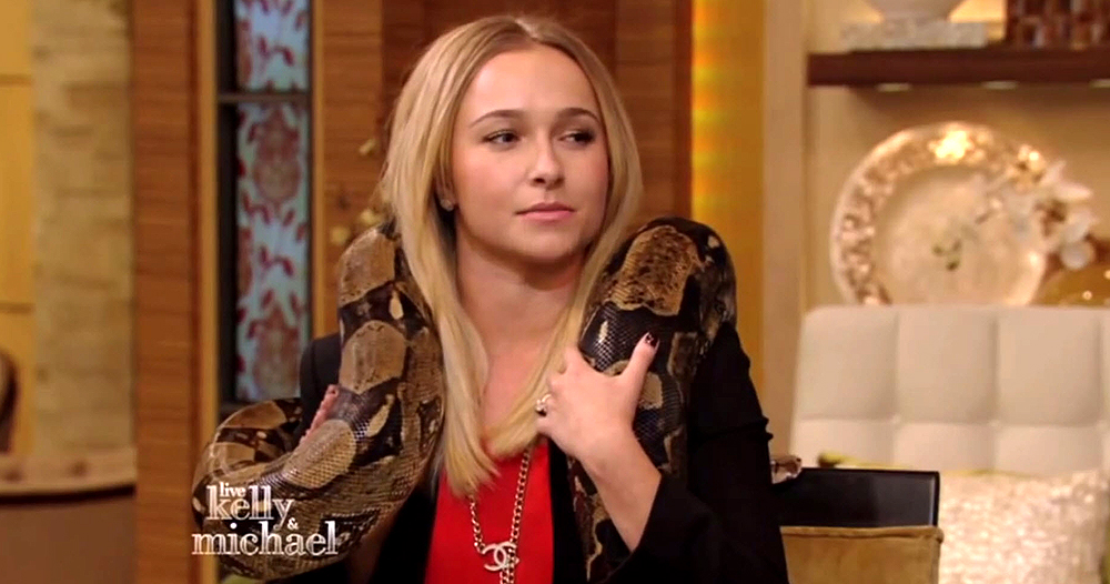 haydenpanettiere_snake_0193.jpg haydenpanettiere_snake_0193.jpg