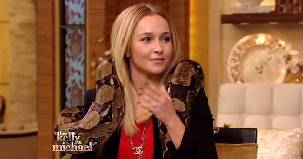 haydenpanettiere_snake_0194.jpg haydenpanettiere_snake_0194.jpg