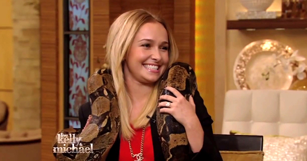 haydenpanettiere_snake_0226.jpg haydenpanettiere_snake_0226.jpg