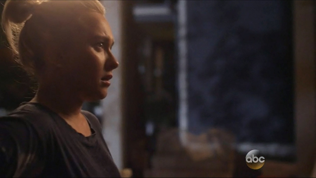 nashville_haydenpanettiere02217.jpg