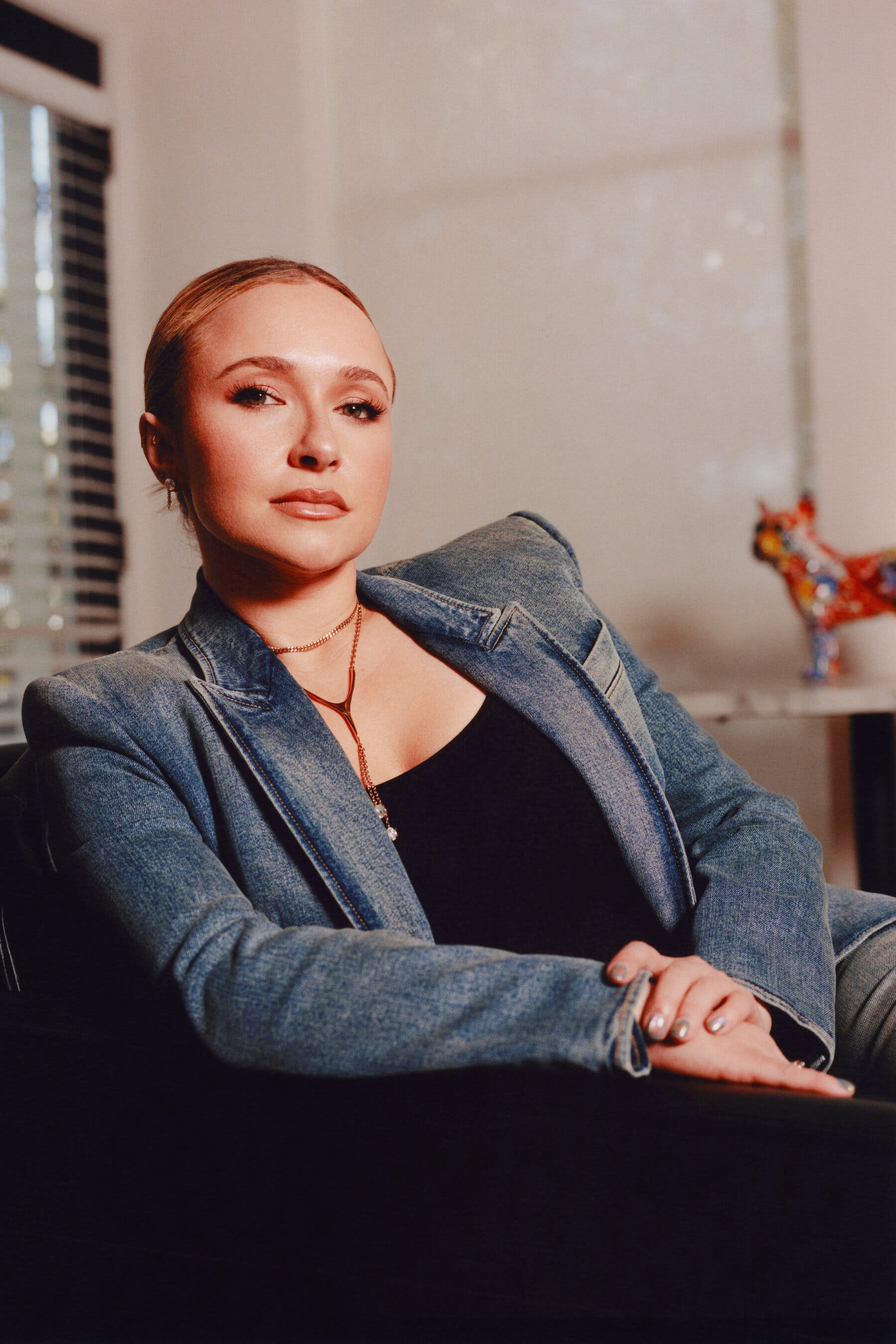 haydenpanettieresource_nytimes_28129.jpg